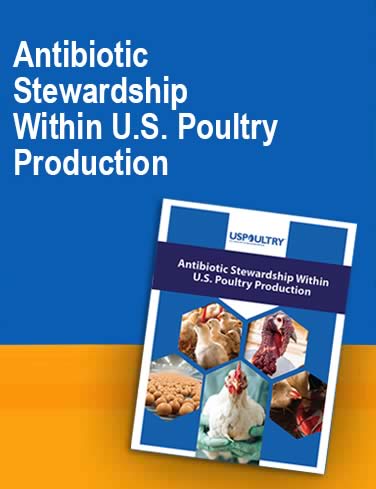 Antibiotic Stewardship Within U.S. Poultry Production
